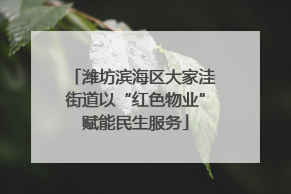潍坊滨海区大家洼街道以“红色物业”赋能民生服务